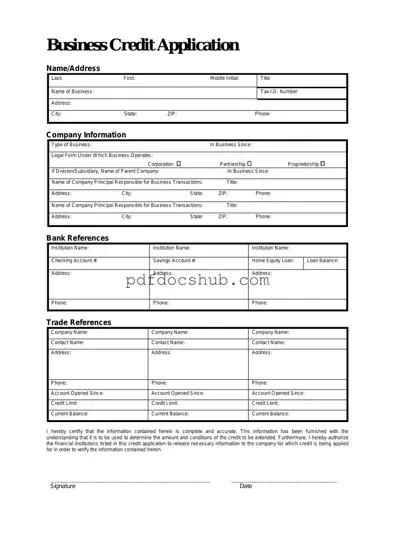 Business Credit Application Template