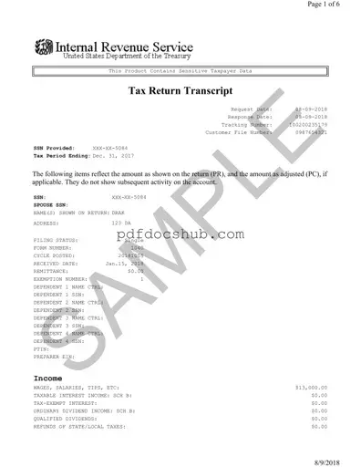 Sample Tax Return Transcript Template