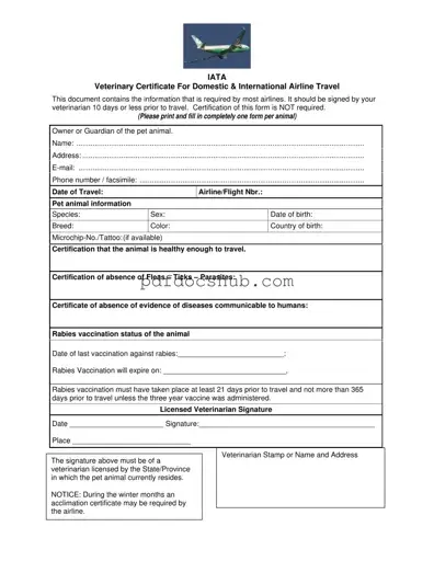 Veterinary Certificate Travel Template